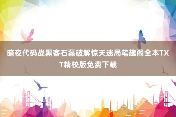 暗夜代码战黑客石磊破解惊天迷局笔趣阁全本TXT精校版免费下载