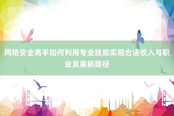 网络安全高手如何利用专业技能实现合法收入与职业发展新路径