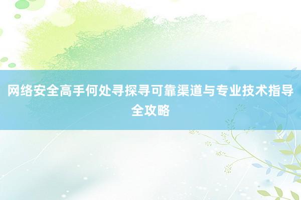 网络安全高手何处寻探寻可靠渠道与专业技术指导全攻略