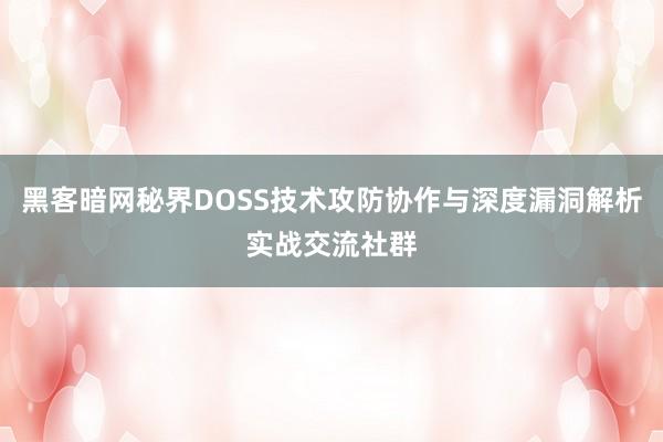 黑客暗网秘界DOSS技术攻防协作与深度漏洞解析实战交流社群