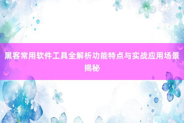 黑客常用软件工具全解析功能特点与实战应用场景揭秘